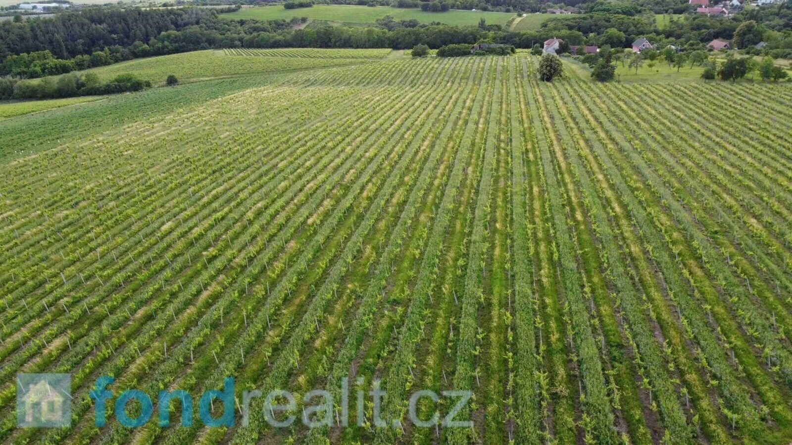 Pozemek · 4 878 m² · Újezdec - 4