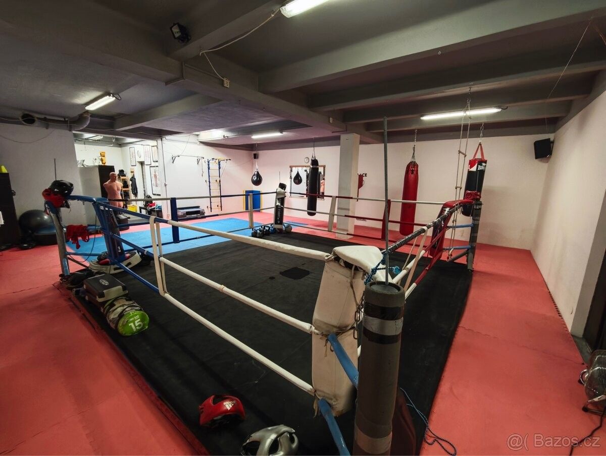 Pronájem ostatní - Praha, 170 00