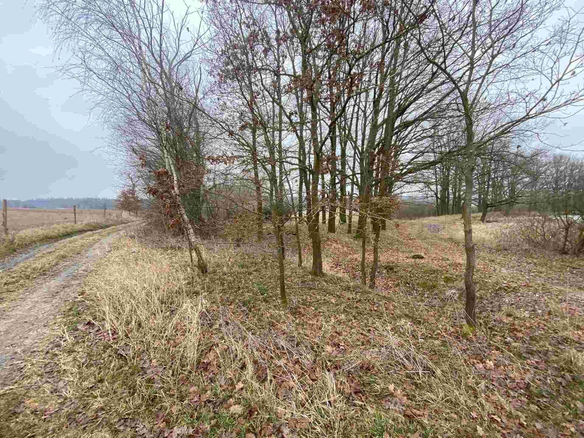 Prodej pozemek - Albrechtice, Drahonice, 2 m²