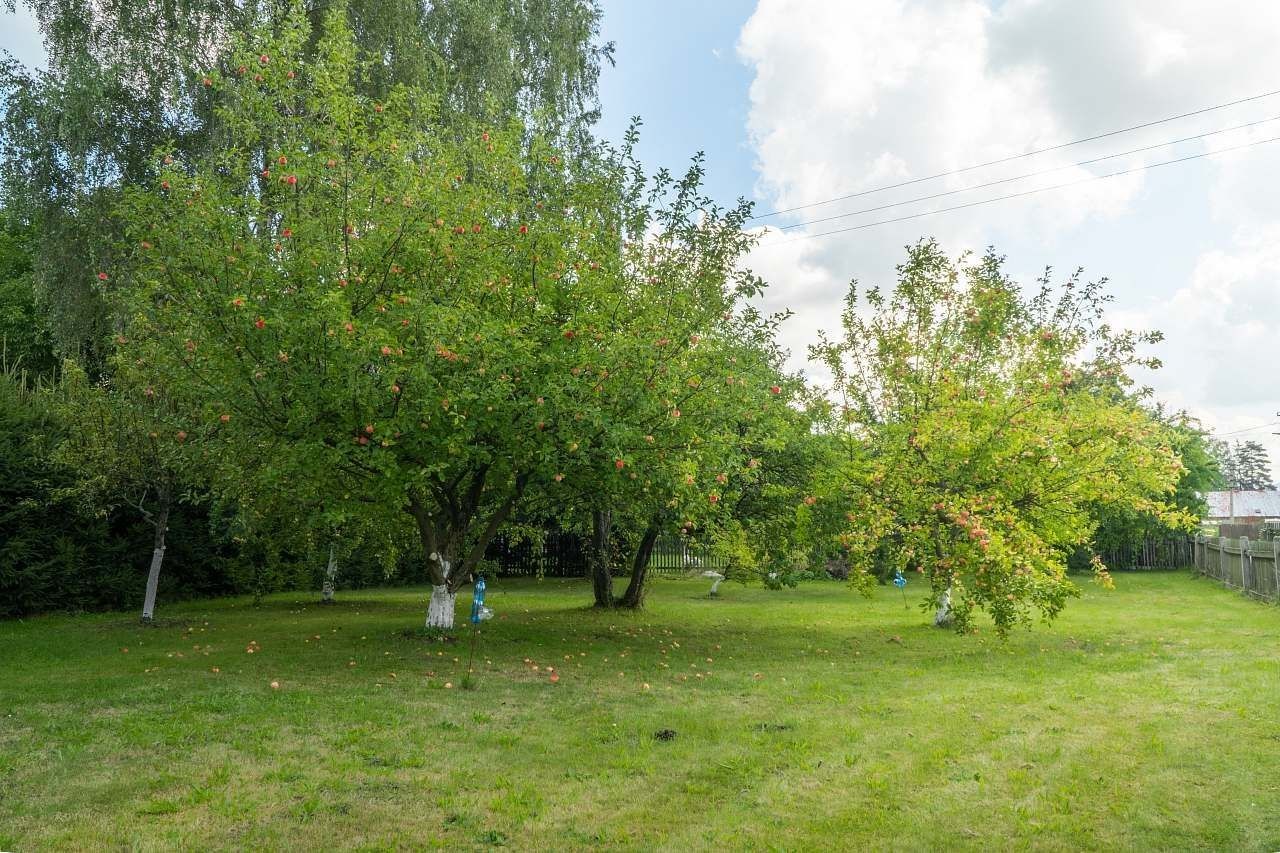 Chaty, Šluknov - Císařský, Ústecký kraj - 2