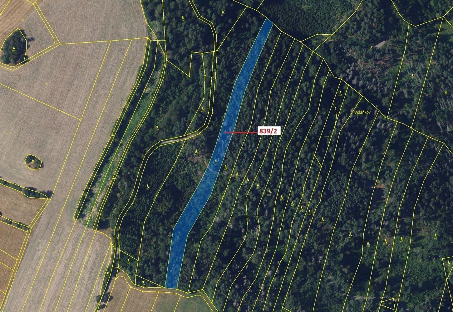 Lesy, Žďárec, okres Brno-venkov, Jihomoravský kraj - 2