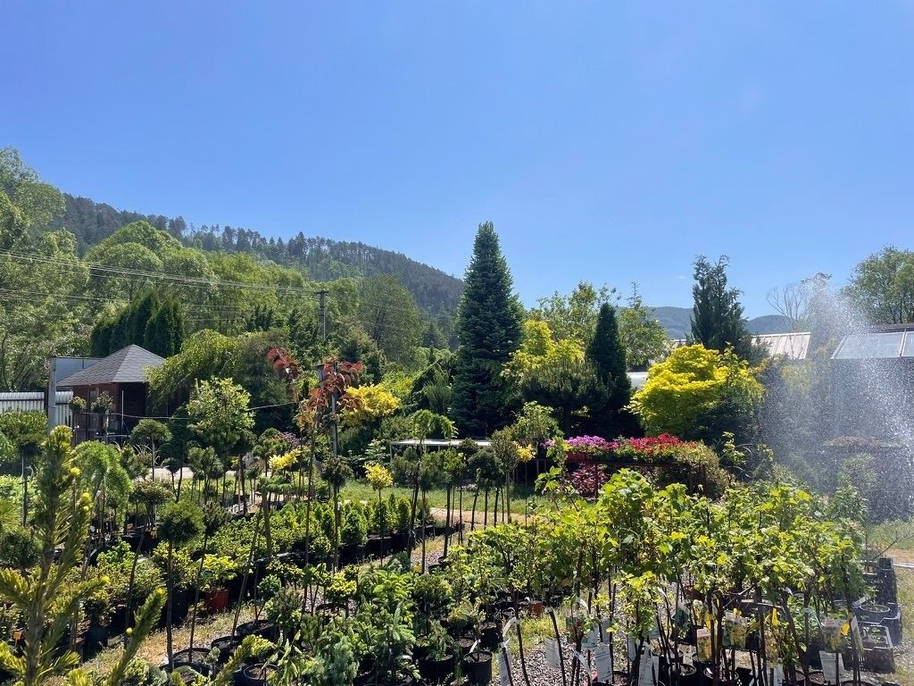 Pozemky pro bydlení, 987 65, Slovensko