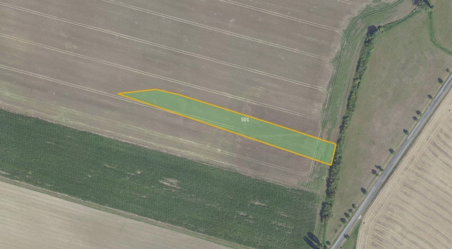 Prodej zemědělský pozemek - Městec Králové