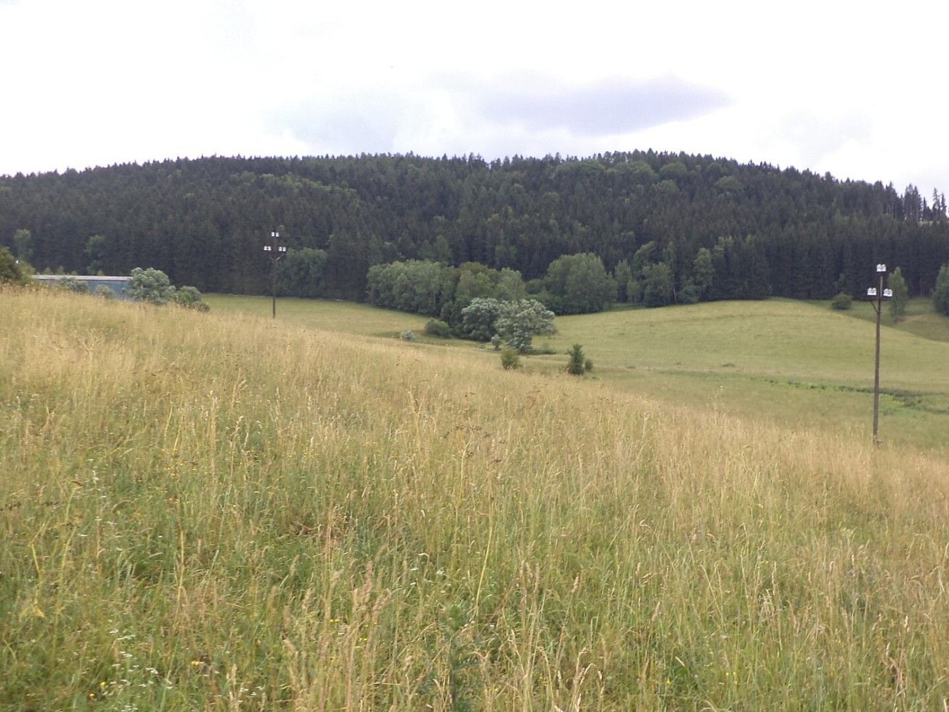 Prodej zemědělský pozemek - Staré Buky, okres Trutnov, Královéhradecký kraj - 2
