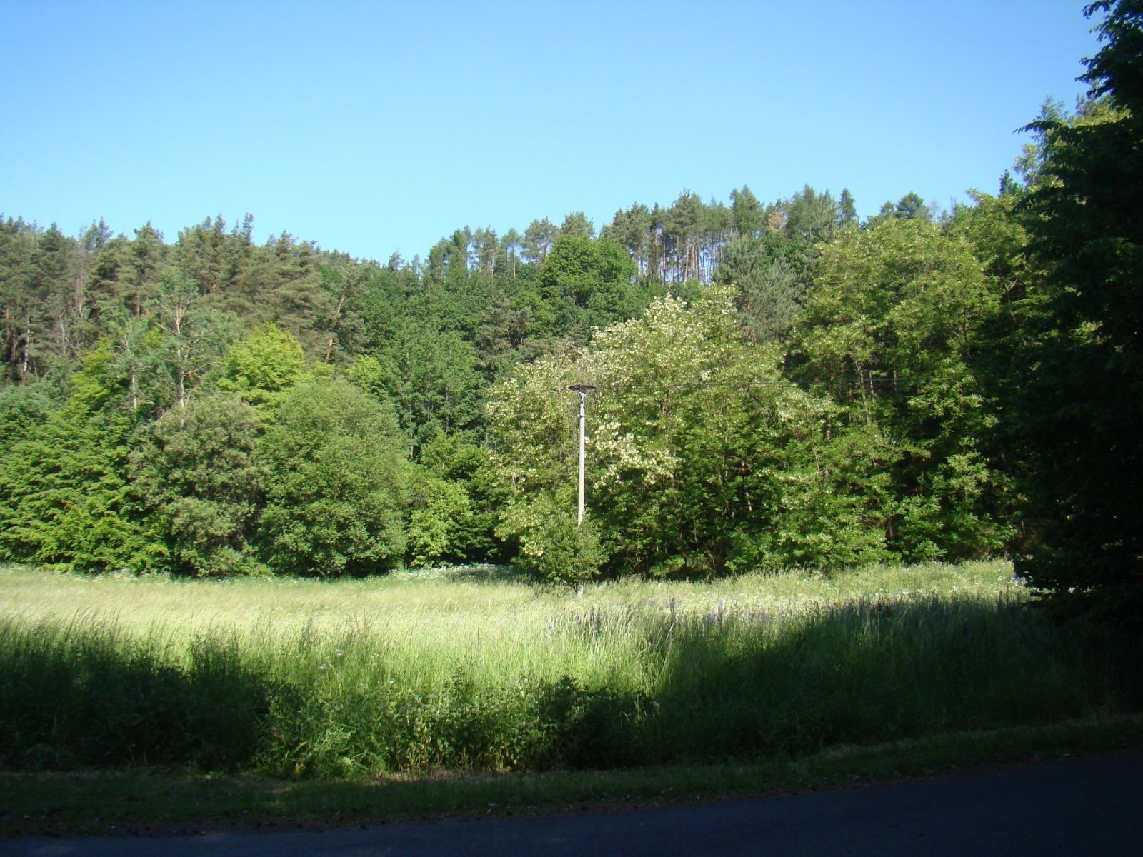 Pozemek pro bydlení, 6 471 m²
