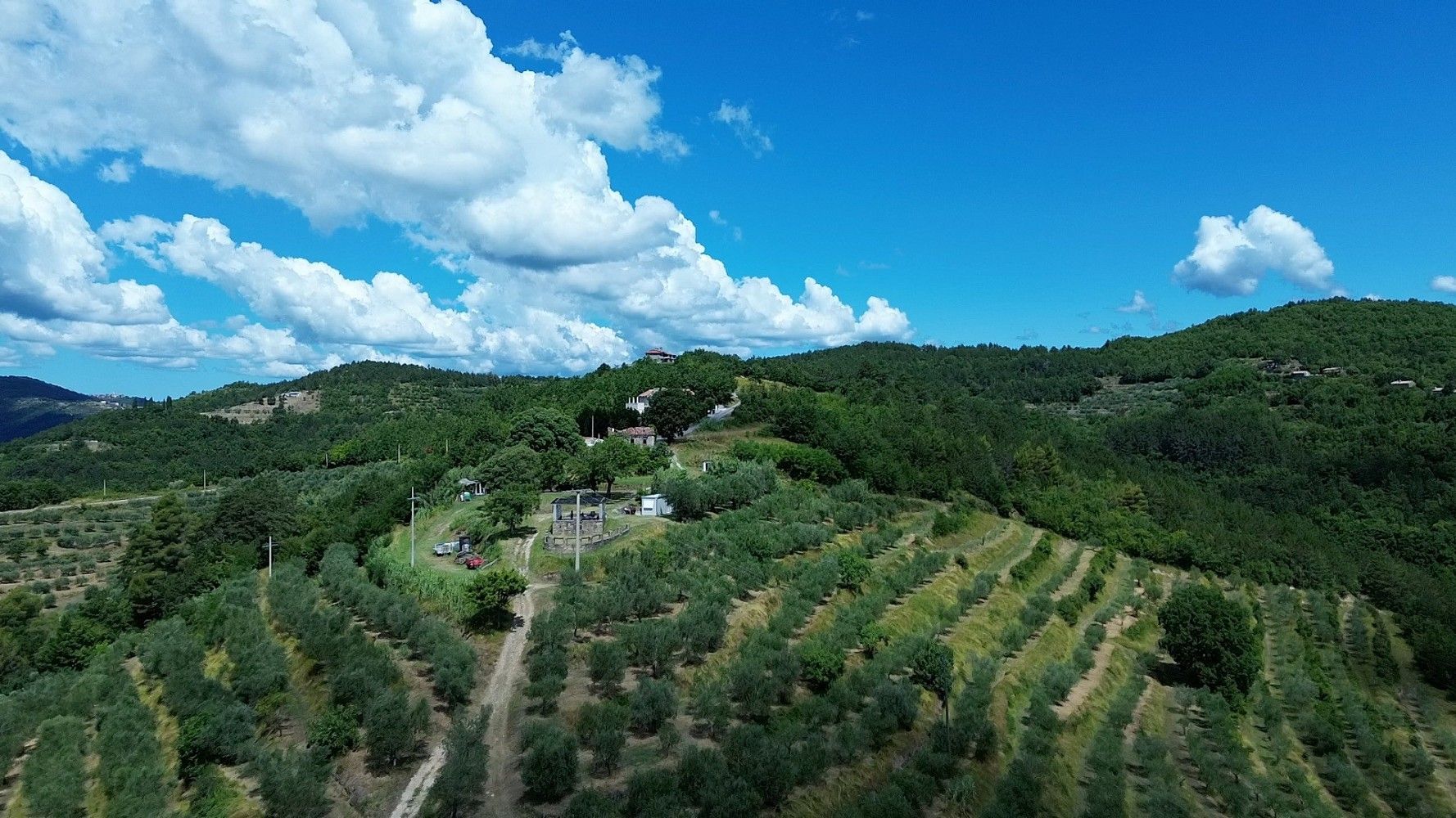 Pozemek pro bydlení · Motovun, HR - 4