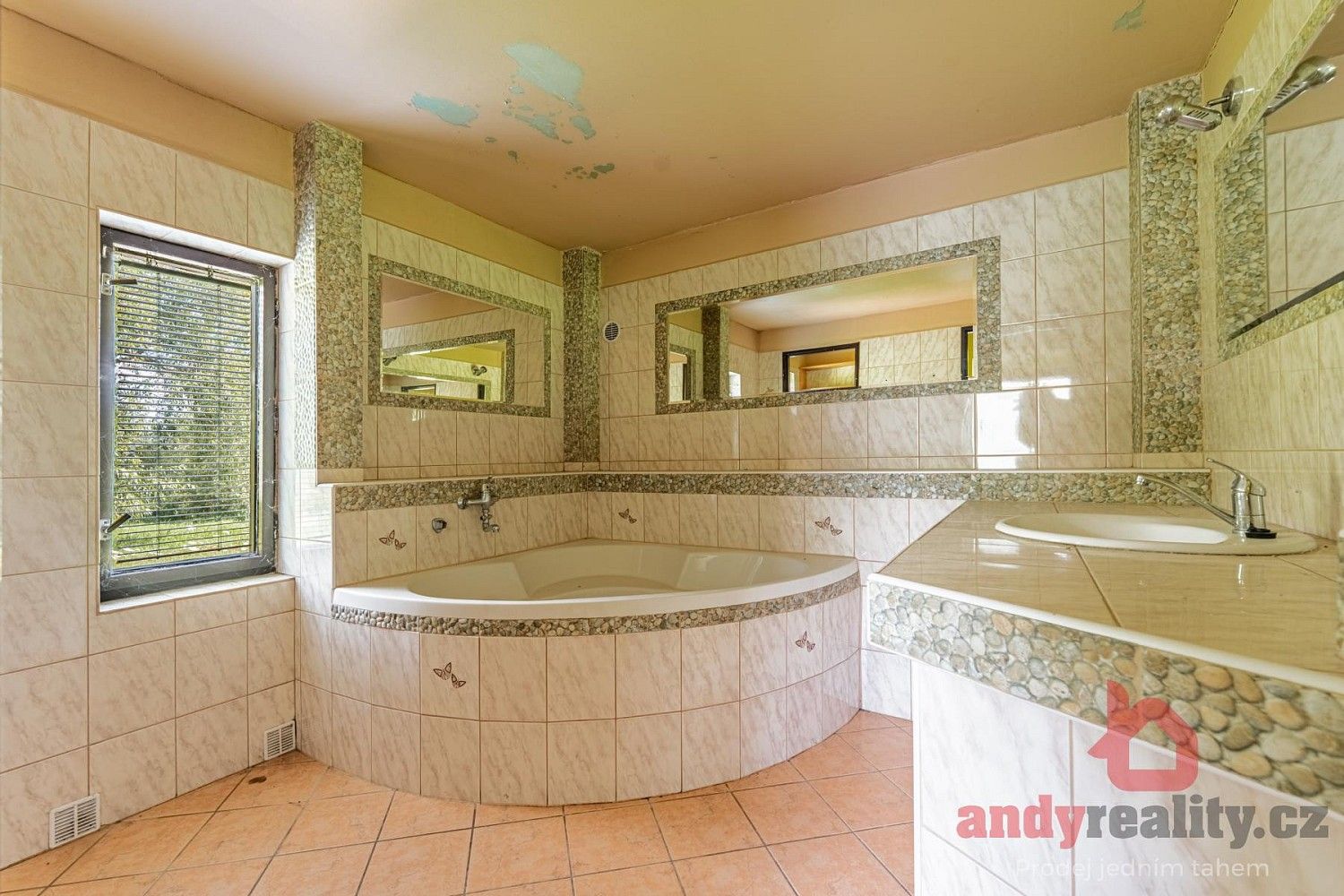 Prodej rodinný dům - Albrechtice nad Vltavou, okres Písek, Jihočeský kraj, 220 m² - 5