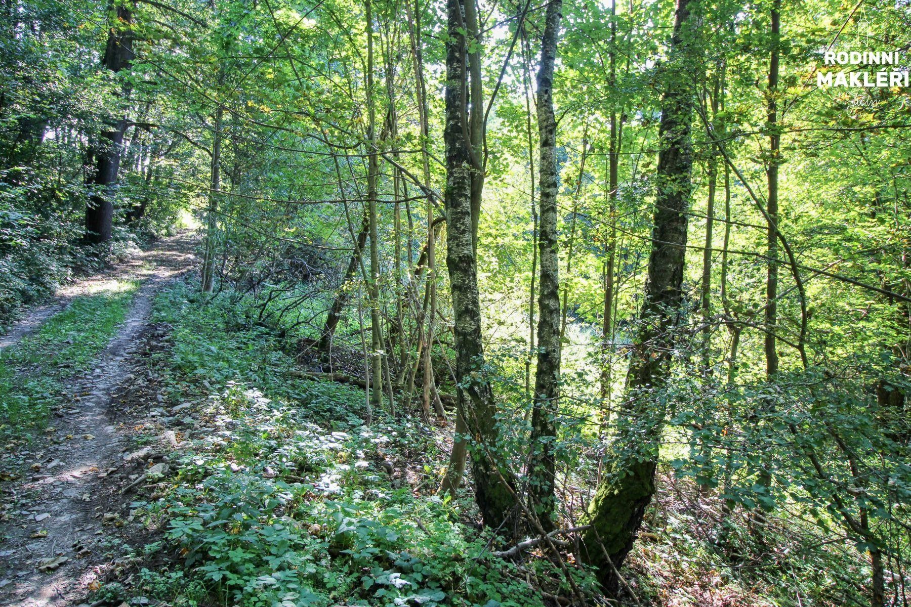 Prodej louka - Jestřabí v Krkonoších, 1 m²