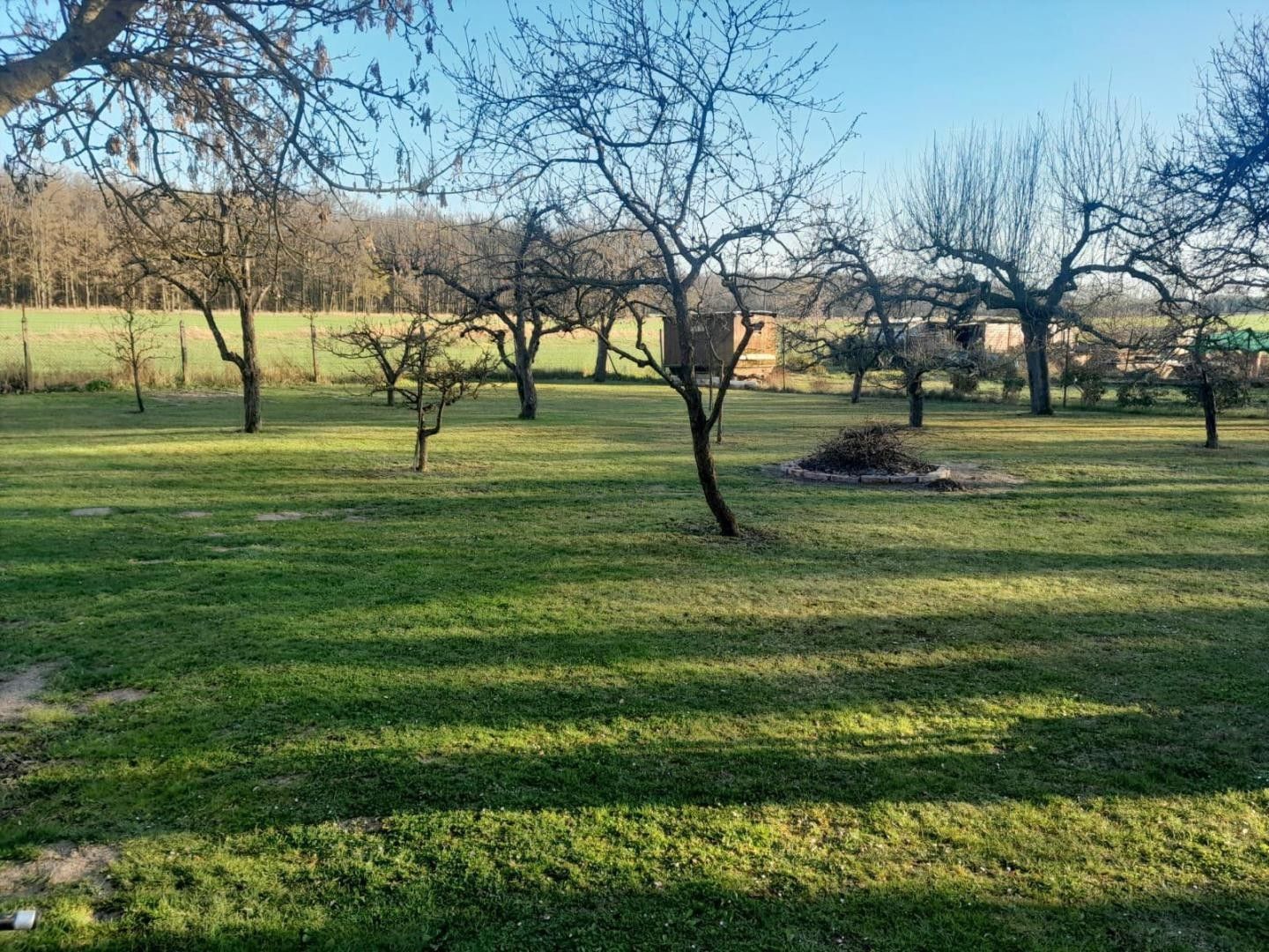 Pozemky pro bydlení, Bor, Protivín - 2
