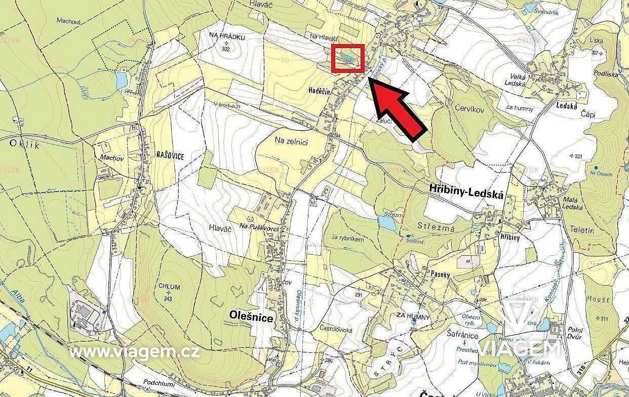 Les · Olešnice, okres Rychnov nad Kněžnou, Královéhradecký kraj - 4