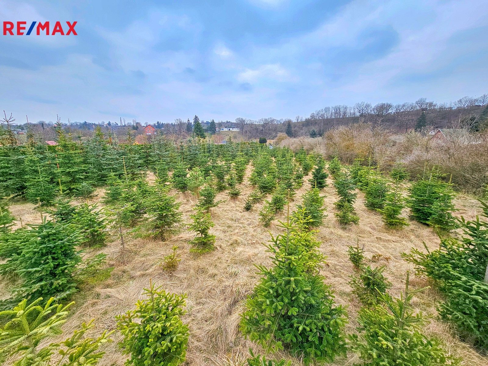 Prodej zahrada - Žatec, 2 m²