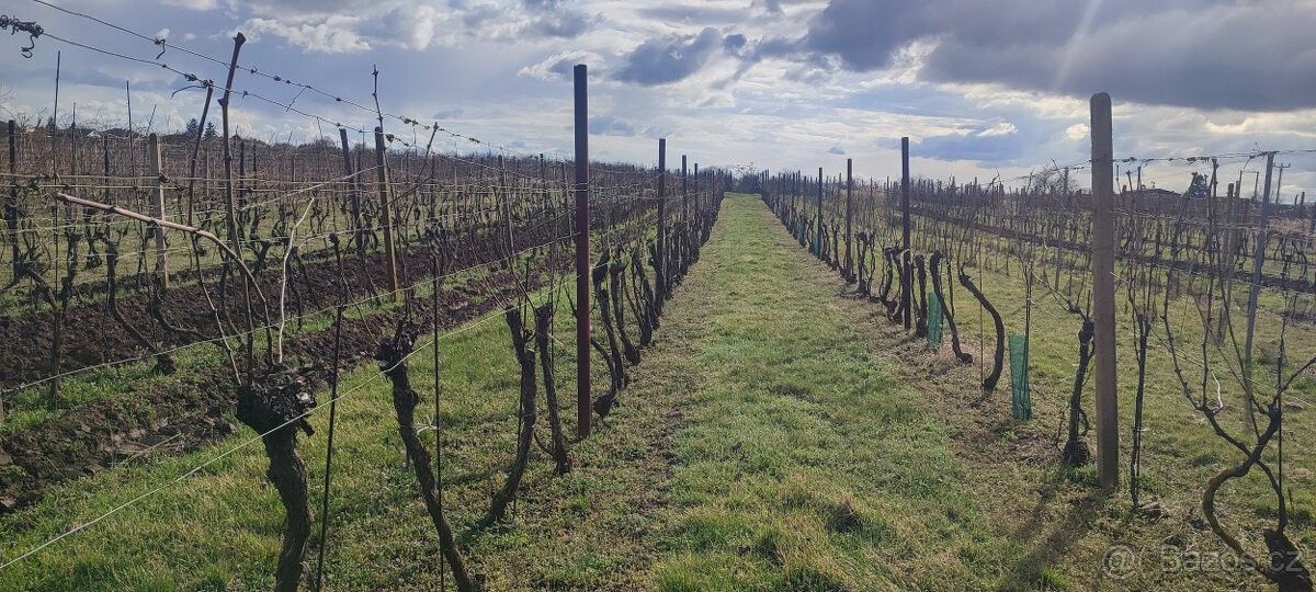 Prodej zahrada - Drnholec, 691 83