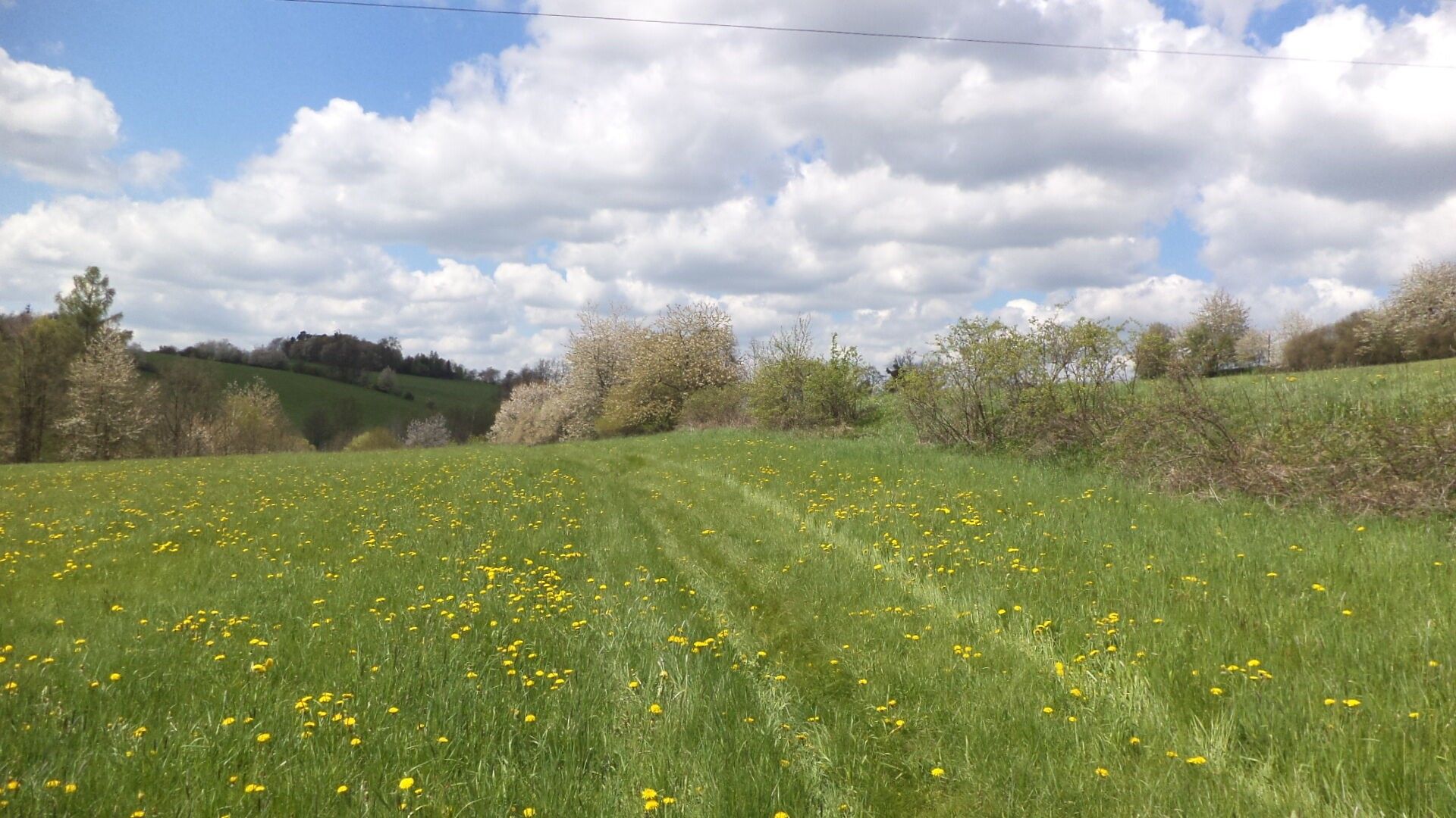 Ostatní, Vítkov, 5 m²