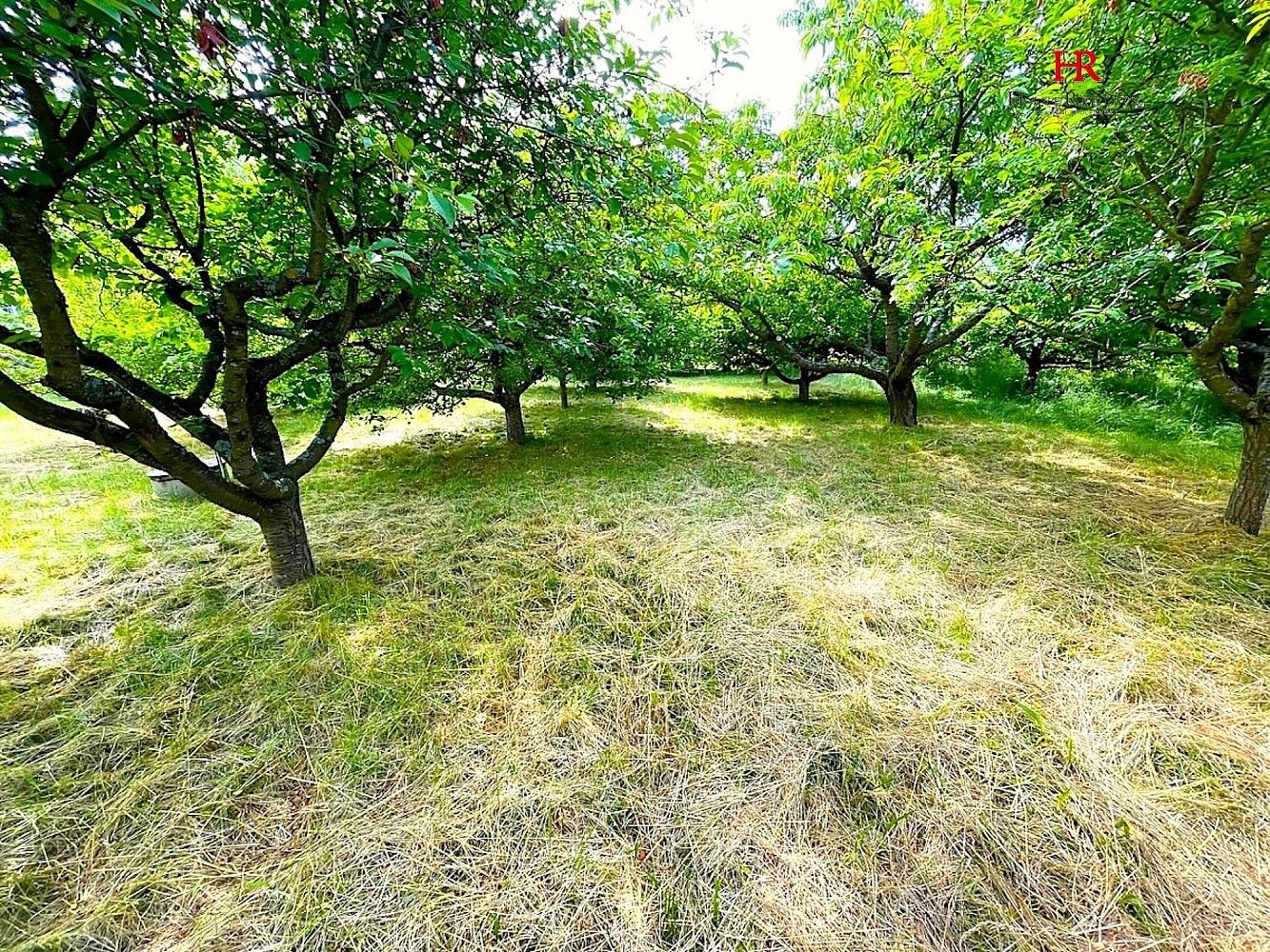 Pozemek pro bydlení · Načeradec, okres Benešov, Středočeský kraj - 4