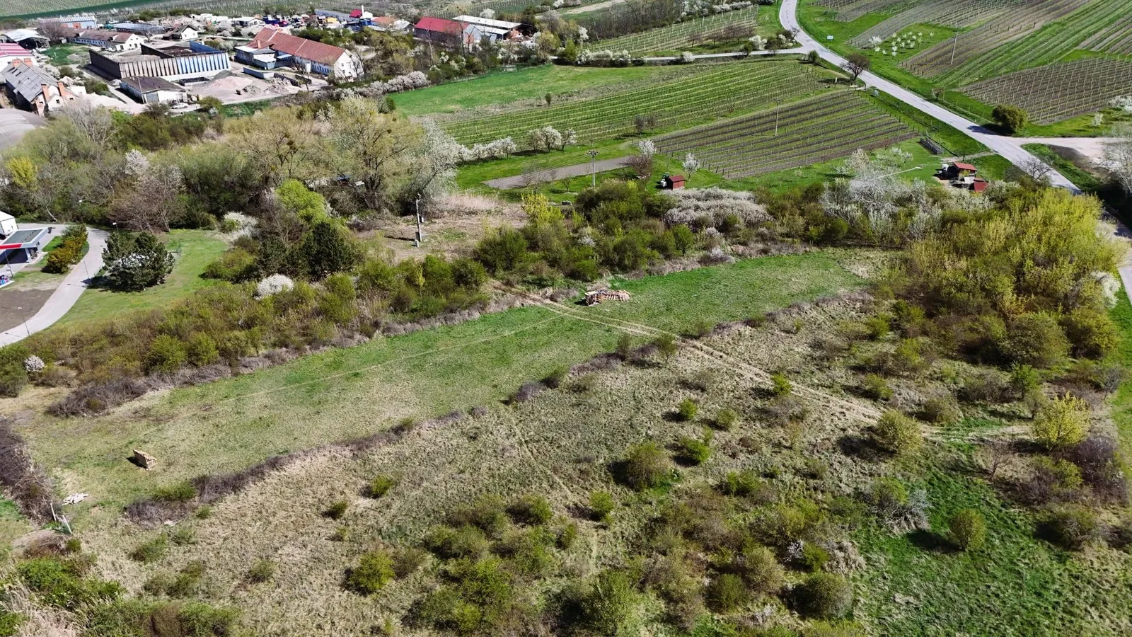 Ostatní