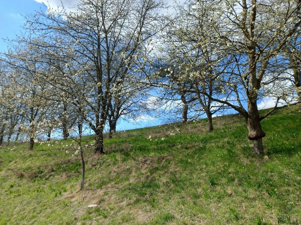 Pozemek pro bydlení · Rychnov nad Kněžnou, 516 01 - 3