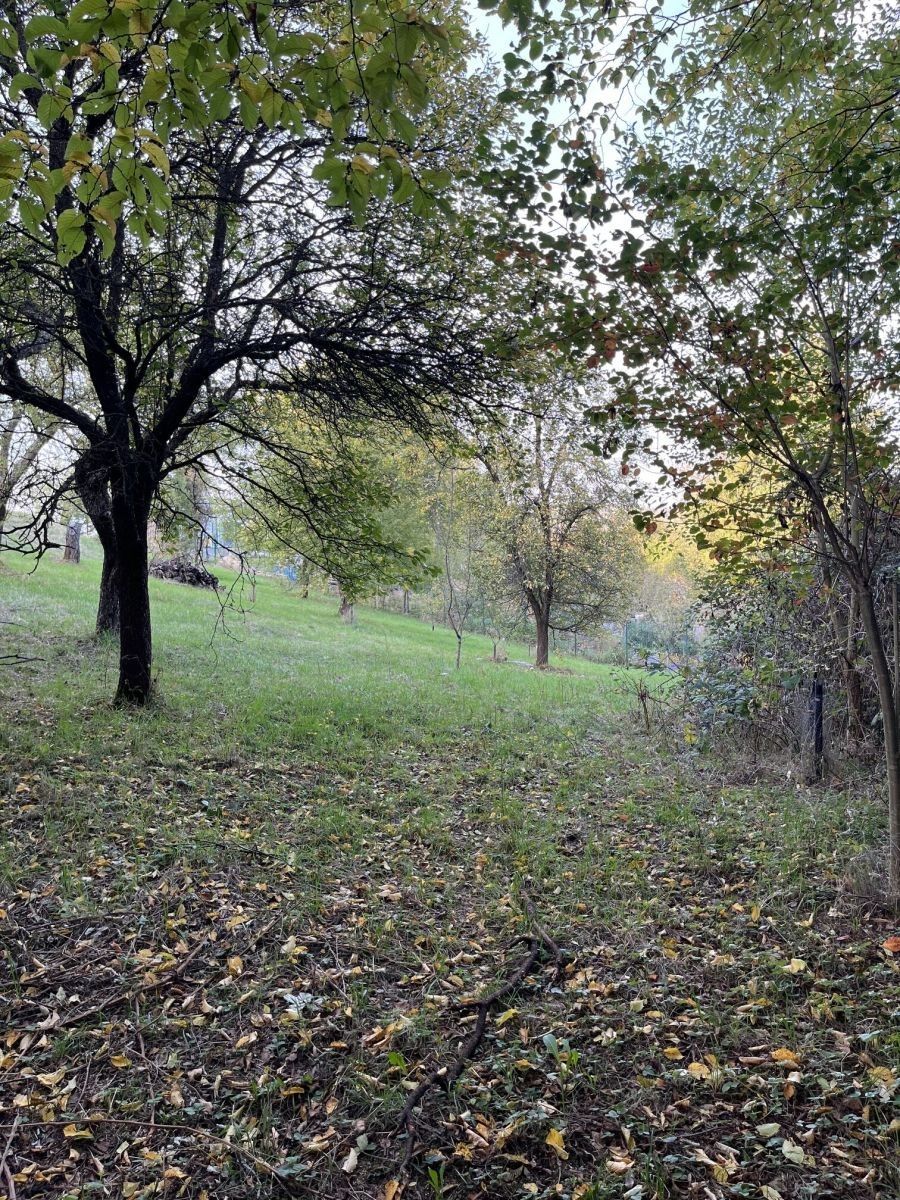 Prodej pozemek pro bydlení - Olomučany - 5
