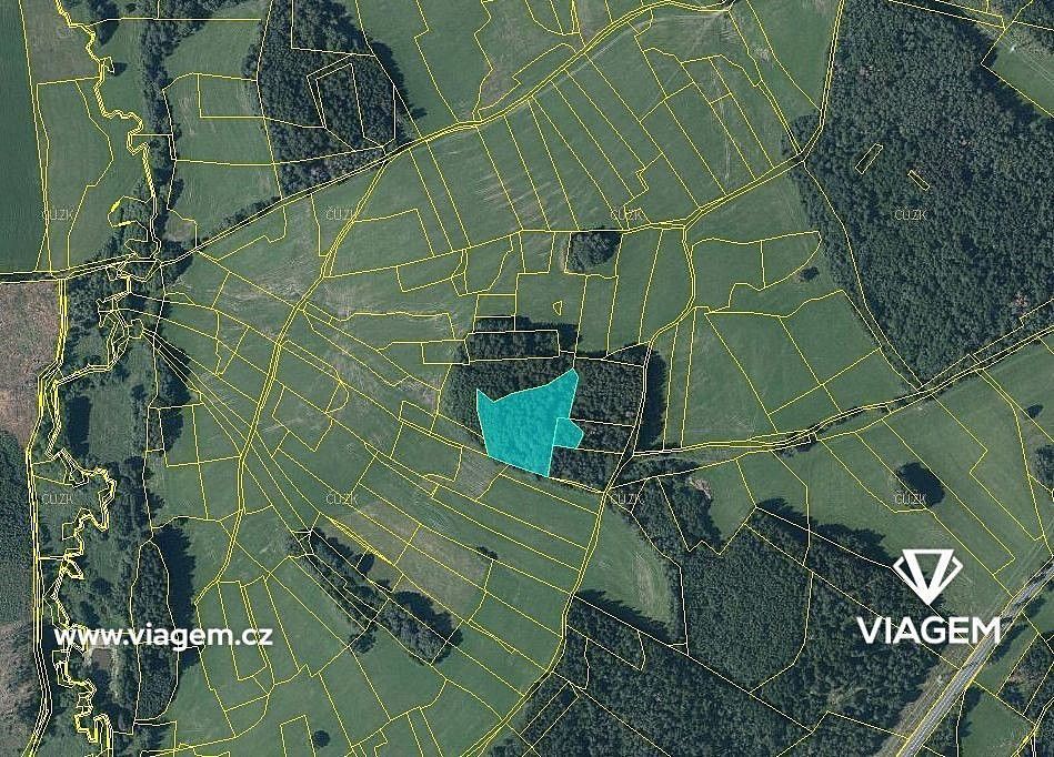 Lesy, Vítanov, okres Chrudim, Pardubický kraj - 2