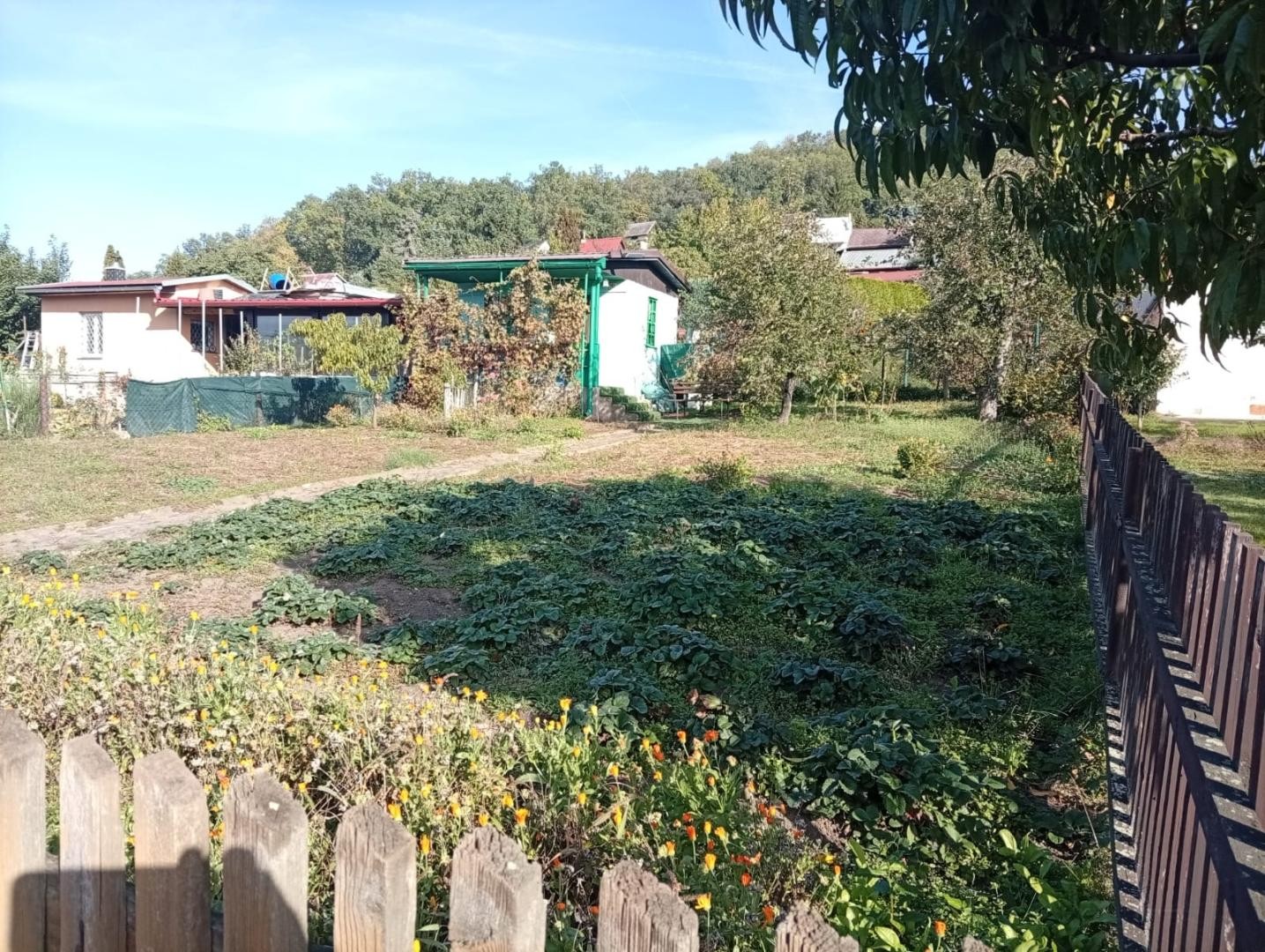 Zahrada · Chlumská, Bílina Teplické Předměstí - 4