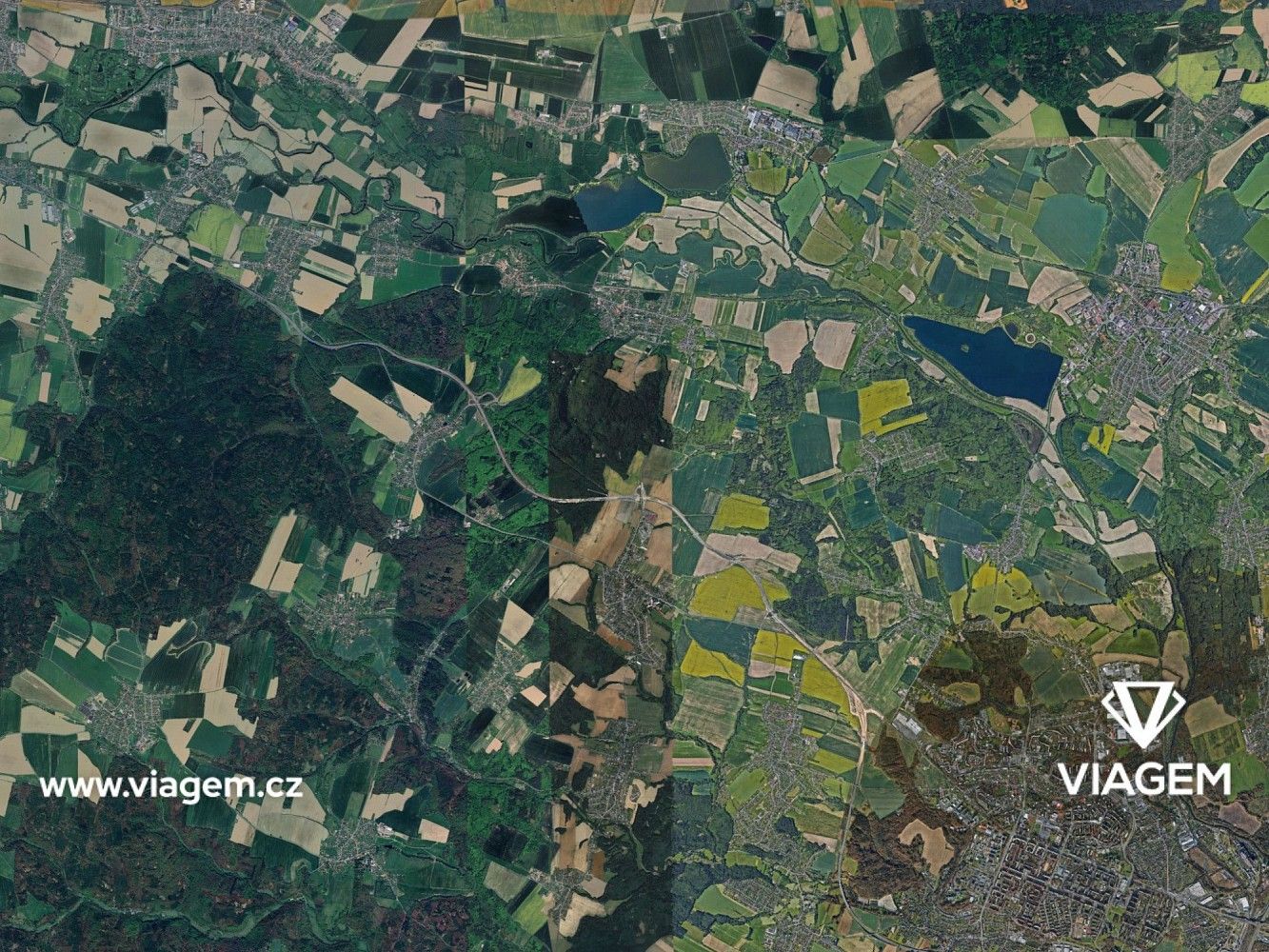Les · Velká Polom, okres Ostrava-město, Moravskoslezský kraj - 3
