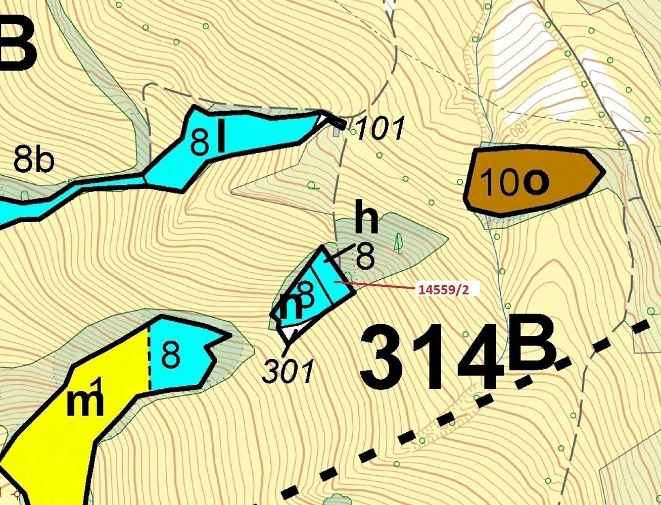 Les · Hovězí, okres Vsetín, Zlínský kraj - 3