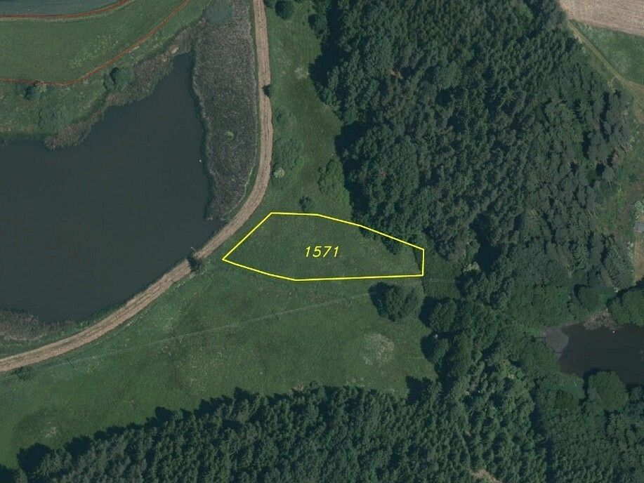 Prodej louka - Lom u Tachova, okres Tachov, Plzeňský kraj - 2