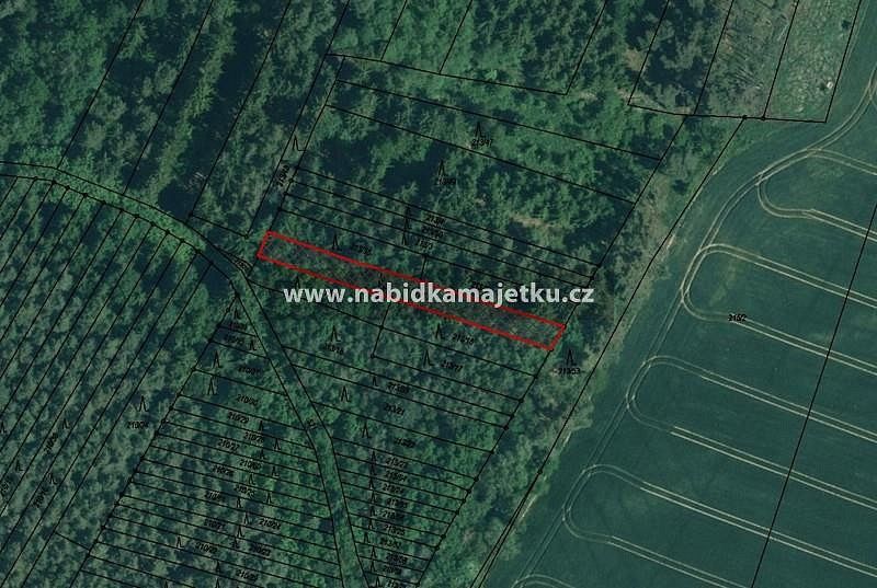 Lesy, Kožlany, okres Plzeň-sever - 2