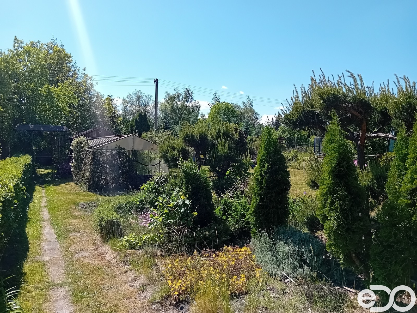 Prodej zahrada - Bělá pod Bezdězem, 215 m² - 5