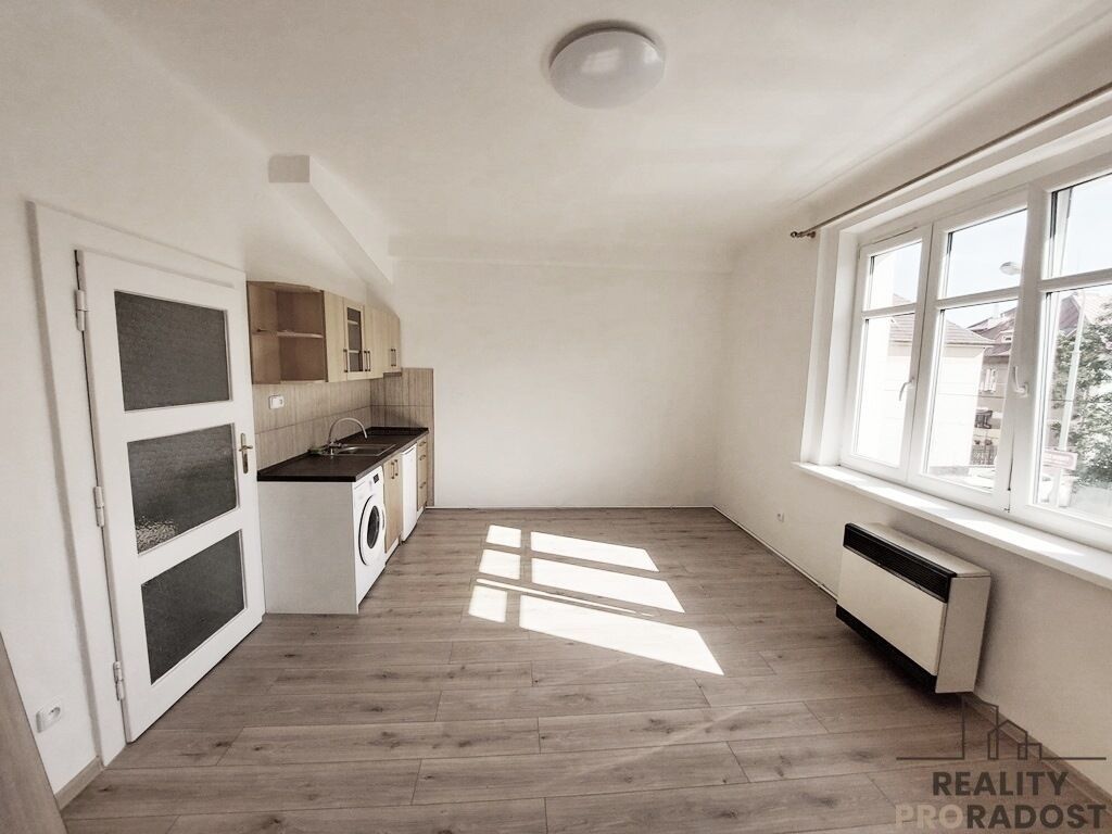1+kk, Na mokřině, Praha Žižkov, 26 m² - 1