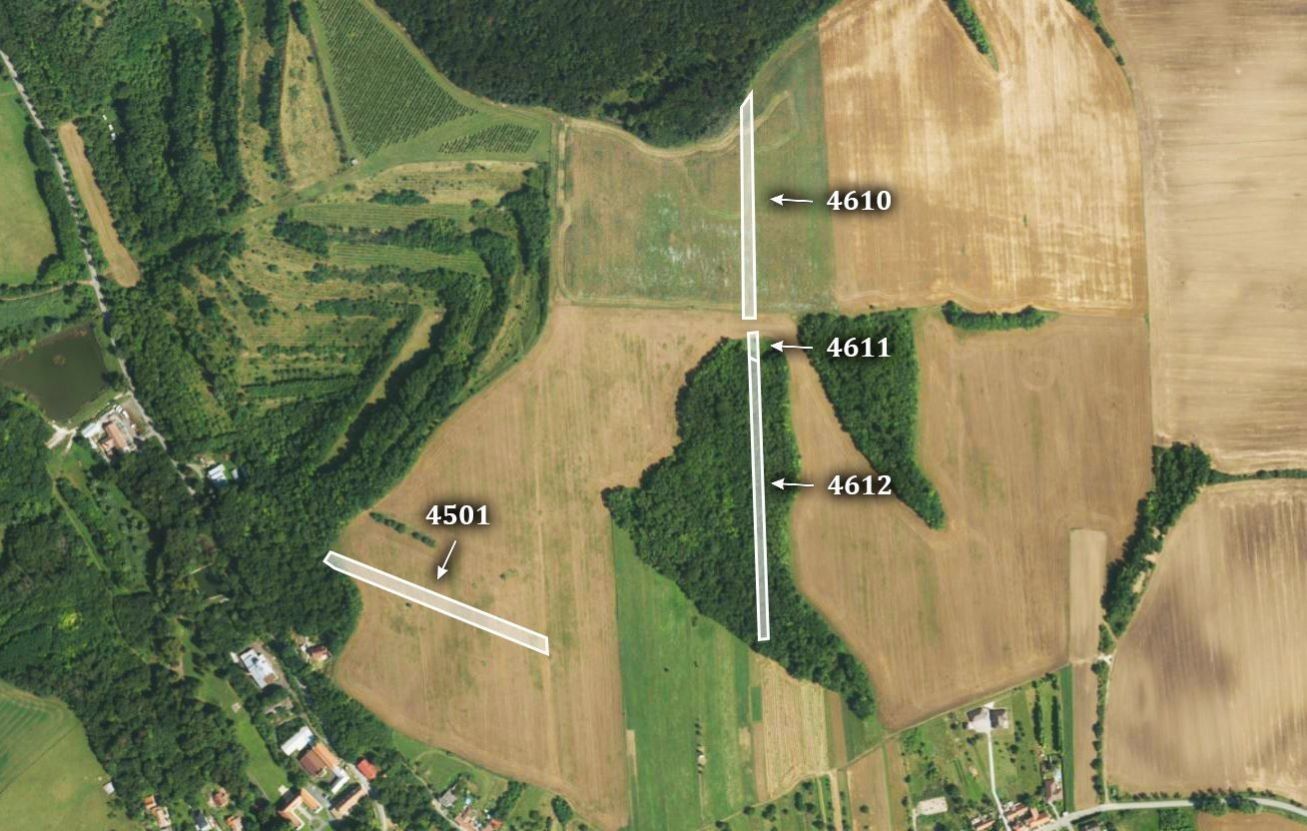 Prodej zemědělský pozemek - Diváky, 16 427 m²