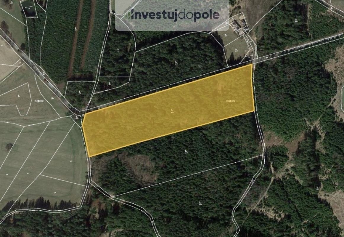Lesy, Milevsko, 12 302 m²
