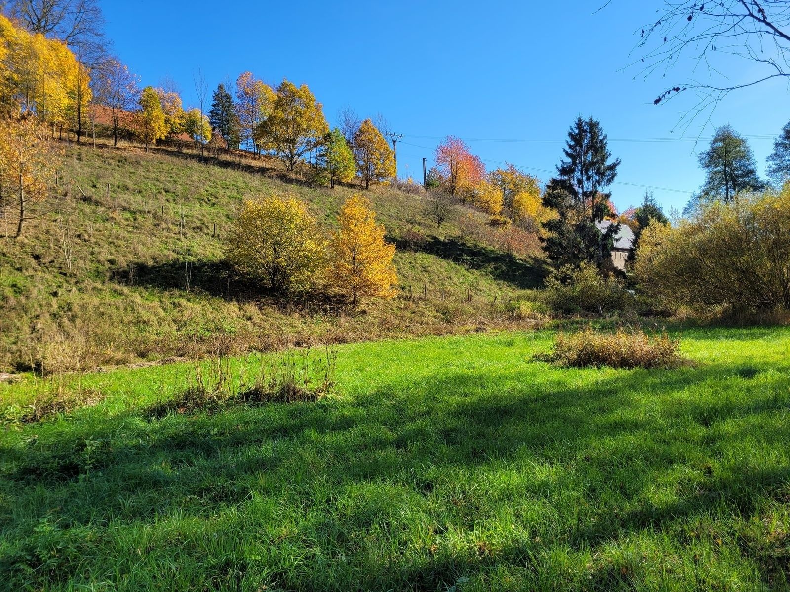 Prodej pozemek pro bydlení - Heřmánkovice, 4 496 m² - 5