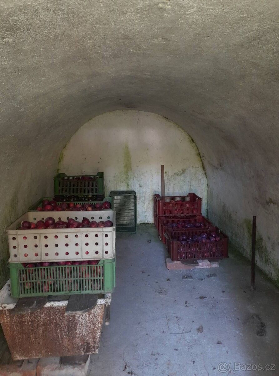 Prodej pozemek pro bydlení - Libina, 788 05