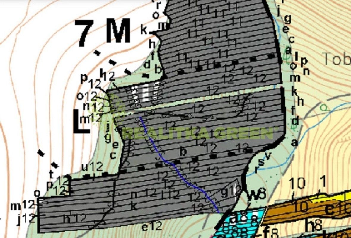 Les · 3 779 m² · Popovice - 3