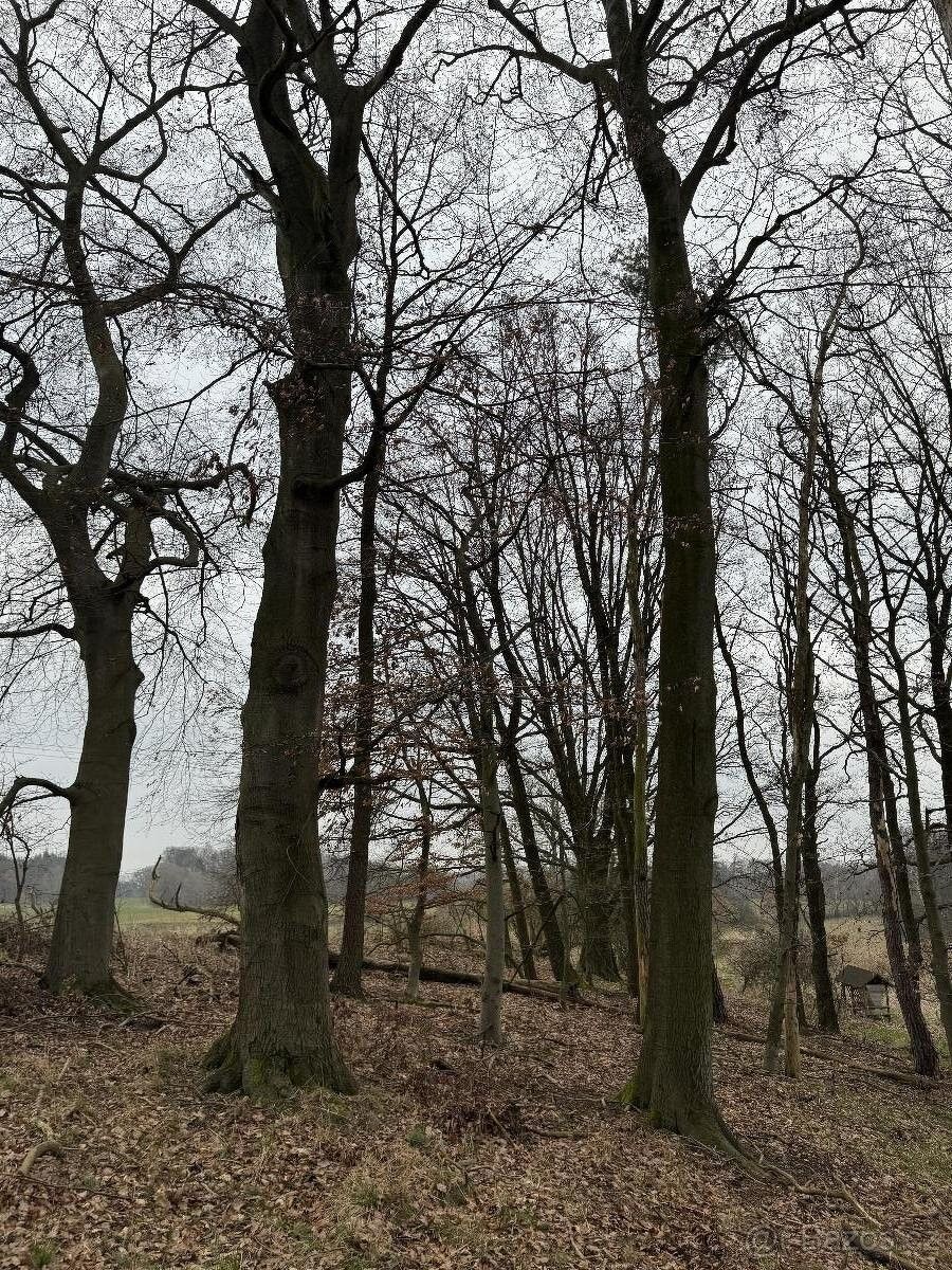 Pozemky pro bydlení, Doksy, 472 01