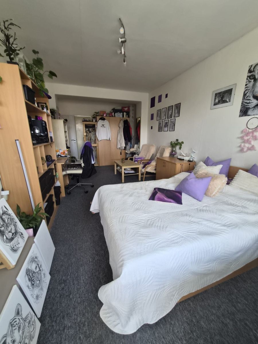 2+1, Hybešova, Boskovice - Boskovice, Jihomoravský kraj, 58 m² - 1