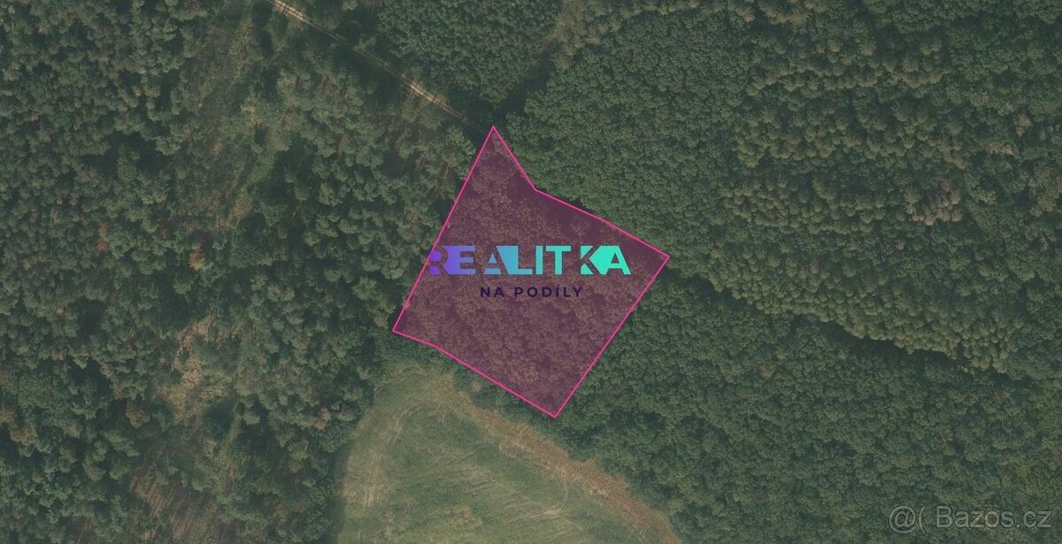 Prodej les - Lázně Bohdaneč, 533 41, 7 304 m²