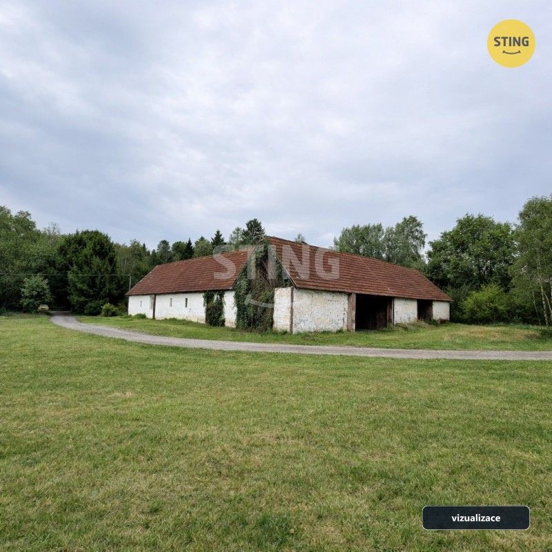 Zemědělská usedlost · 347 m² · Dvory nad Lužnicí - 3