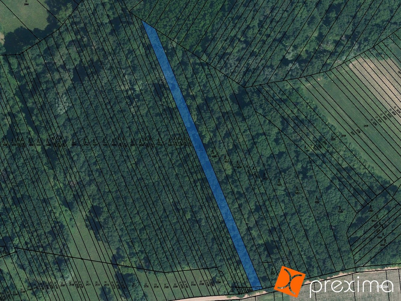 Lesy, Veselí nad Moravou, okres Hodonín, Jihomoravský kraj - 1