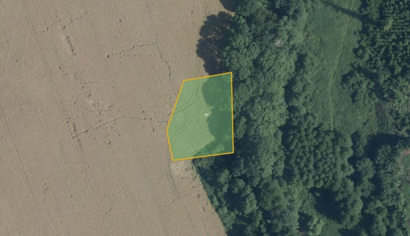 Prodej zemědělský pozemek - Klášter, Vilémov