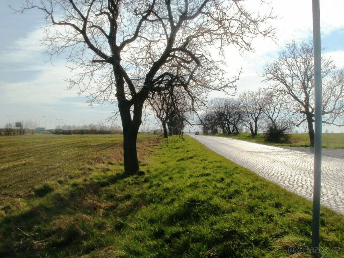 Pozemky pro bydlení, Olomouc, 779 00
