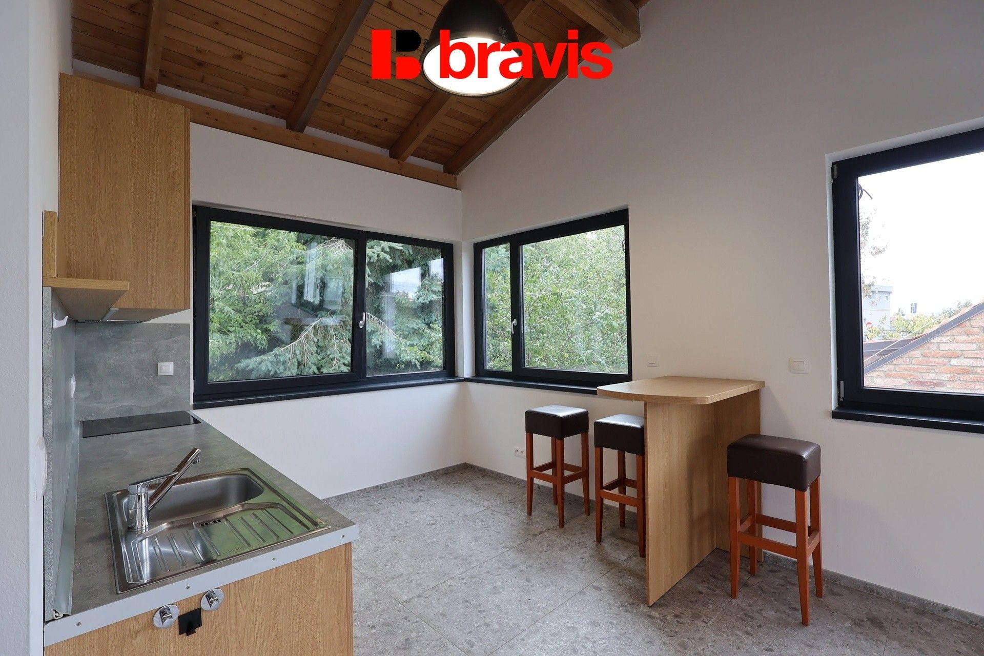 Kanceláře, Písečník 1420, Brno Husovice, 55 m² - 2