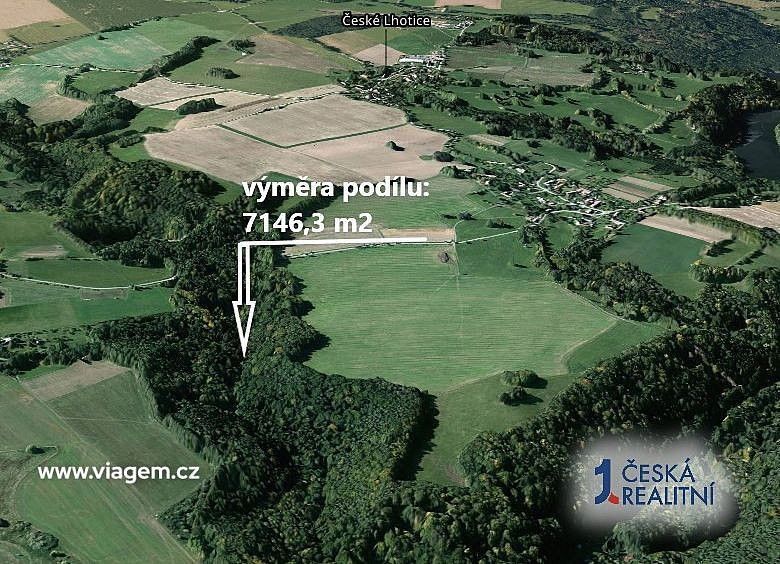 Prodej les - České Lhotice, okres Chrudim, Pardubický kraj - 2