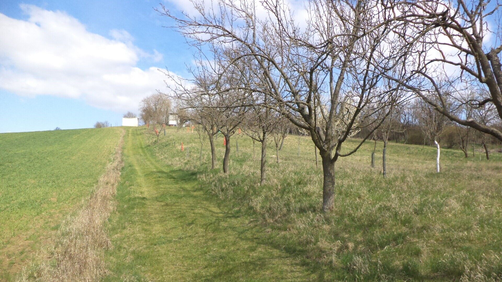 Prodej pozemek - Hluk, 984 m²