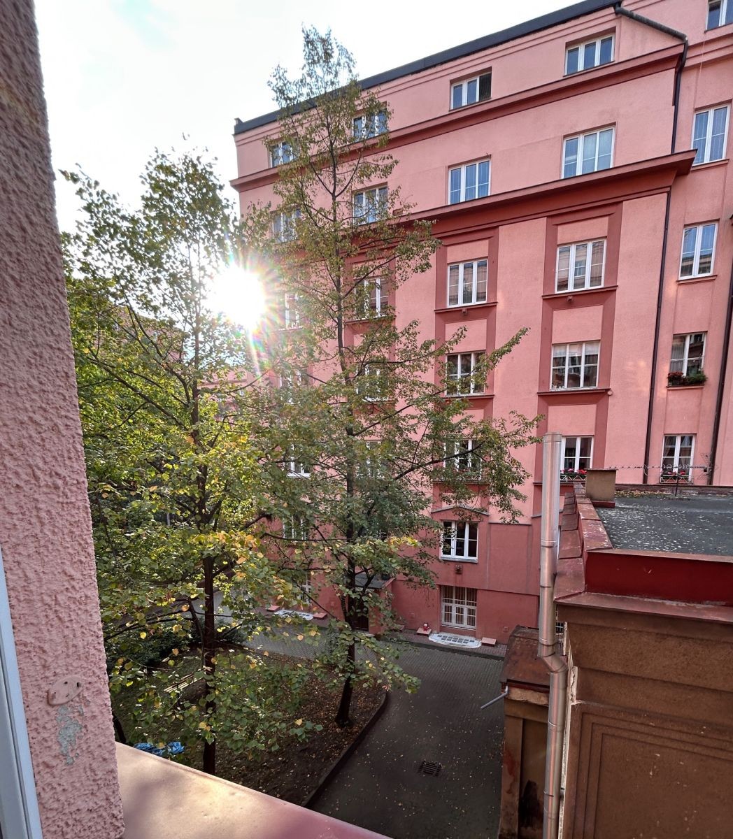 Byt 2+kk · 60 m² · U Průhonu, Praha - Holešovice - 3