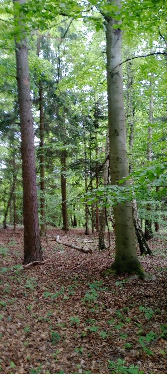 Prodej pozemek pro bydlení - Letovice, 679 61 - 5