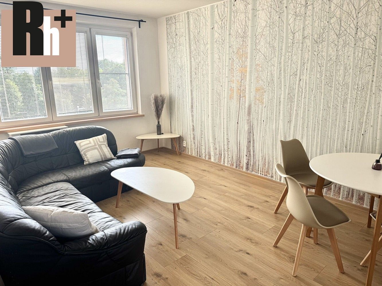 2+kk, Svat. Čecha, Bohumín - Nový Bohumín, okres Karviná, 38 m² - 2