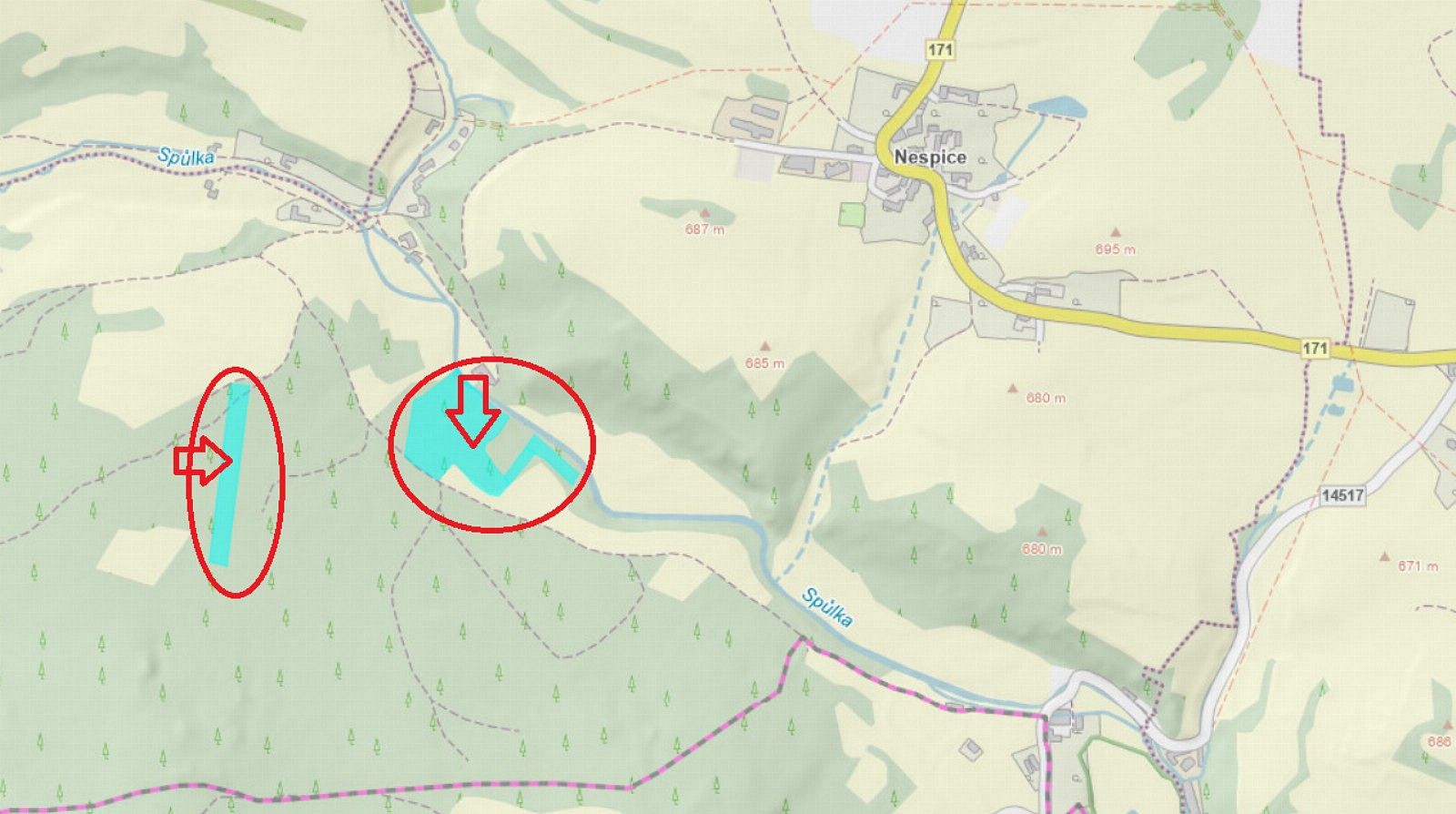 Les · Františkov nad Ploučnicí, okres Děčín, Ústecký kraj - 3