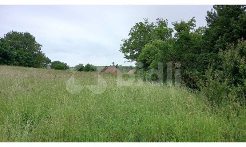 Prodej pozemek pro bydlení - Masarykova, Klobouky u Brna