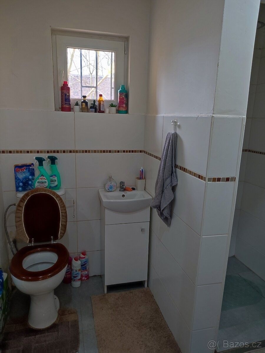 Pronájem byt - Bitozeves, 438 01